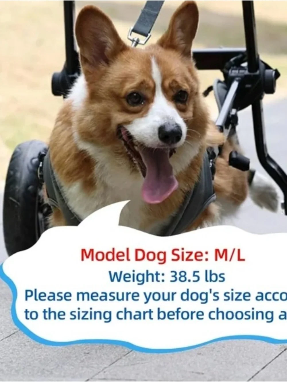Medium Dog Wheelchair Harness Gray Back Legs